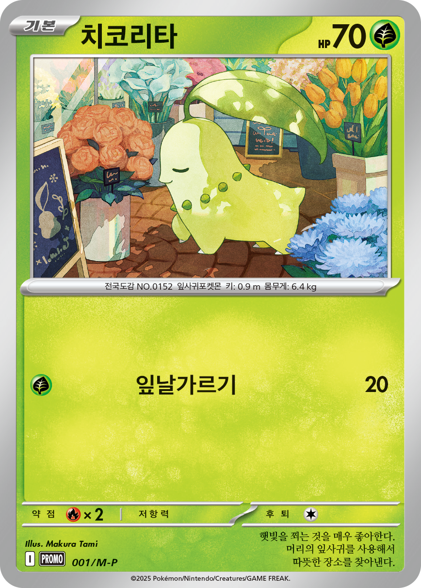 Chikorita