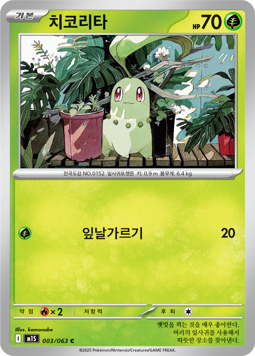 Chikorita
