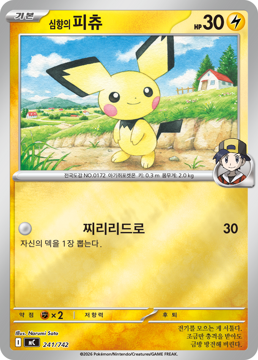 Ethan's Pichu MC 241