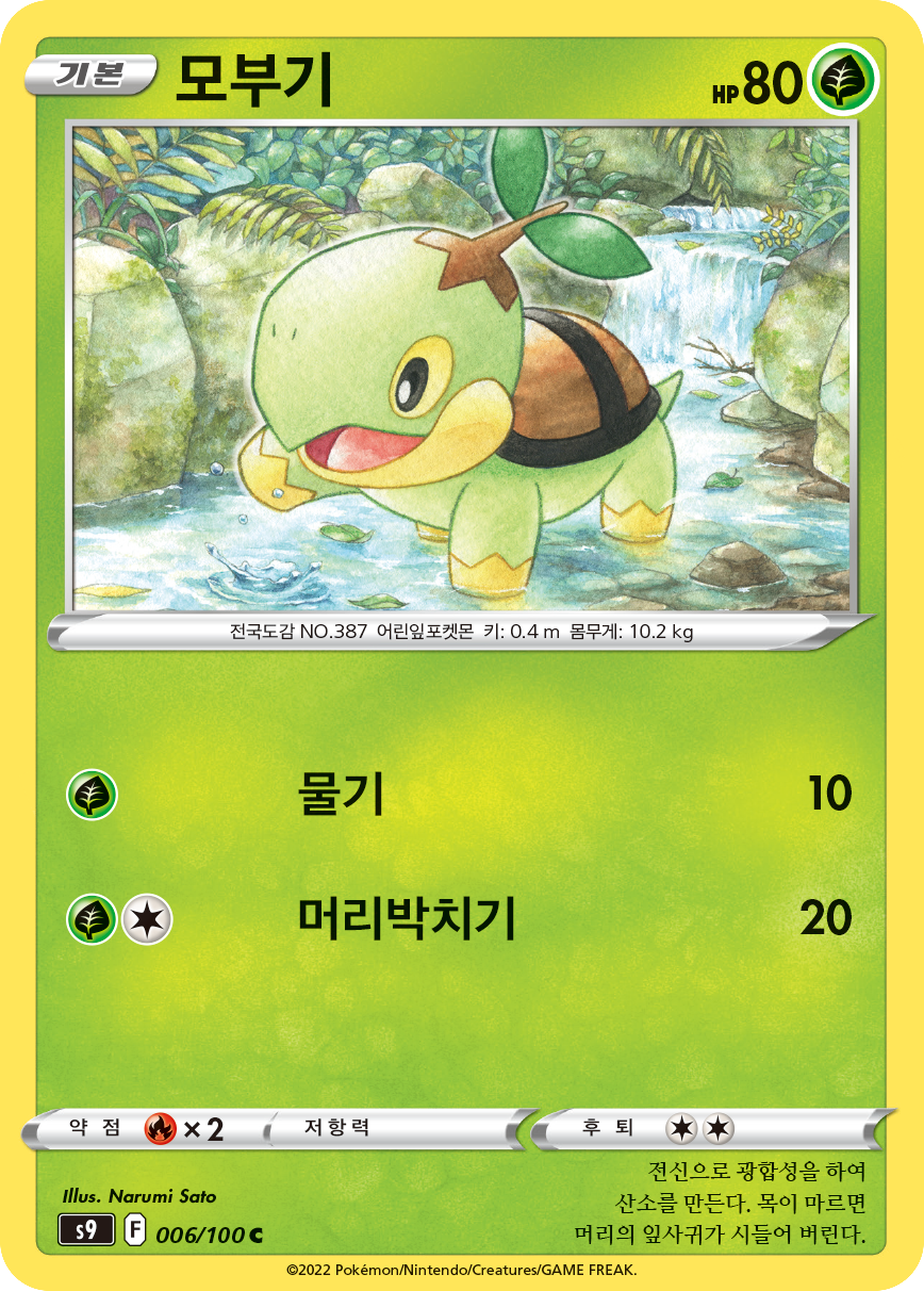 Turtwig