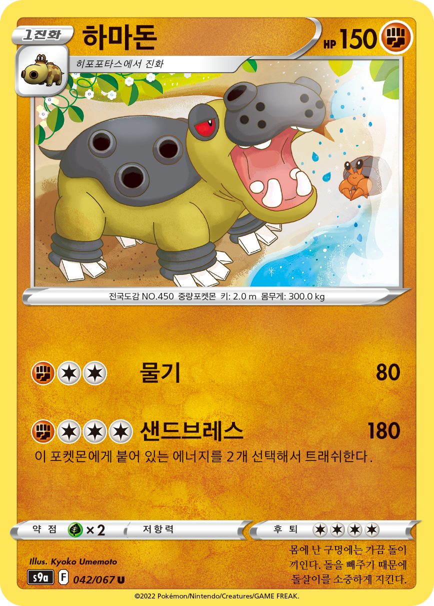 Hippoterus