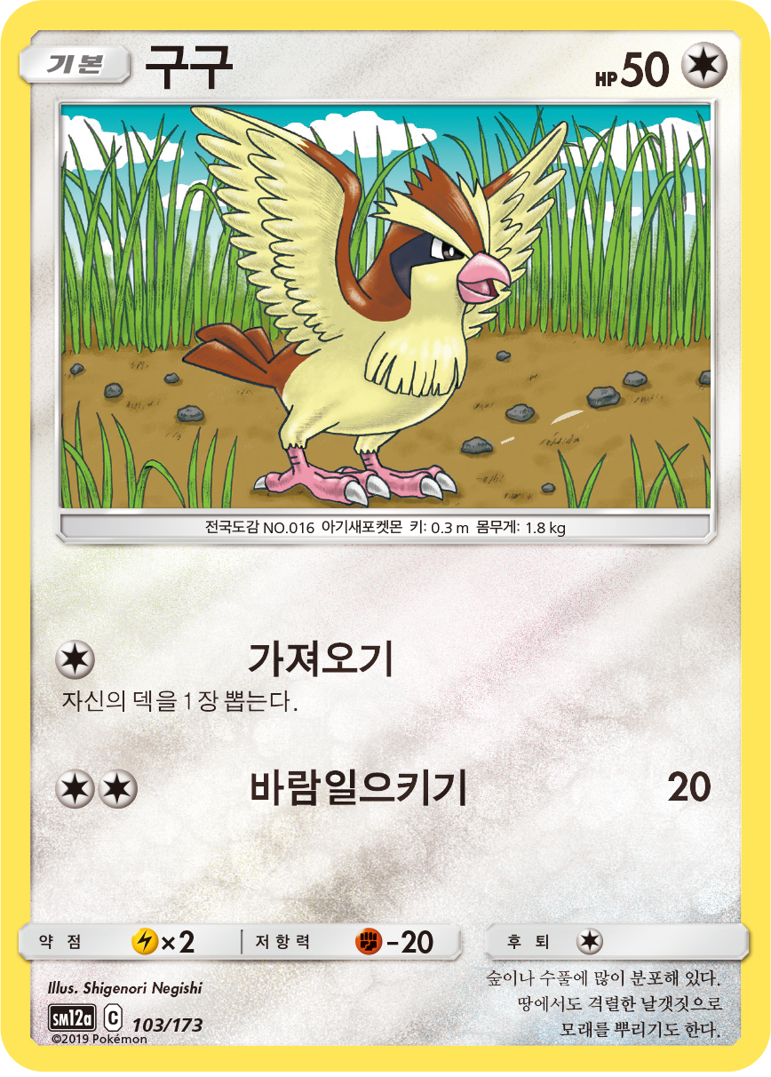Pidgey