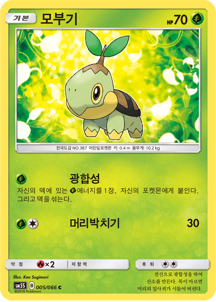 Turtwig