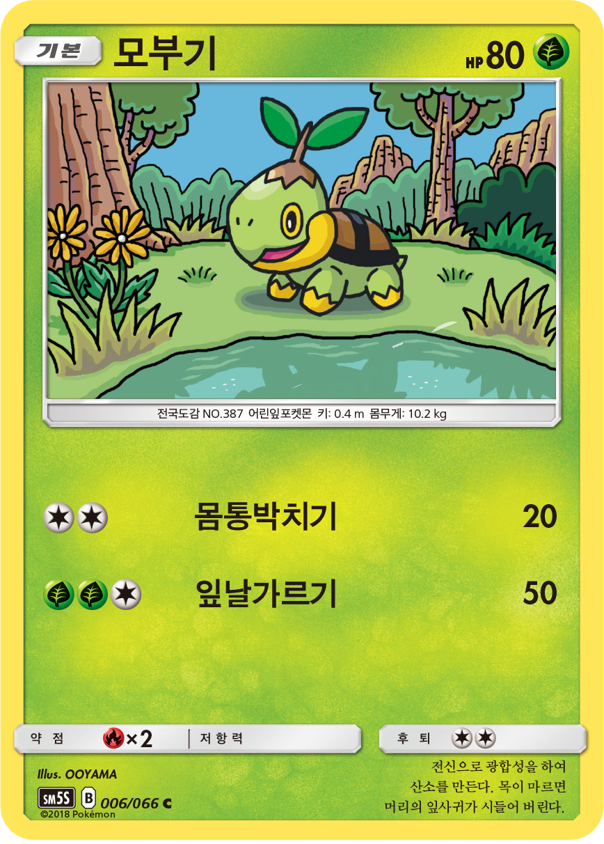 Turtwig