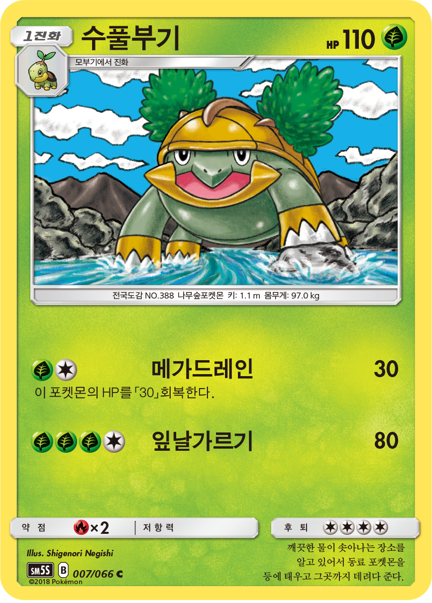 Grotle