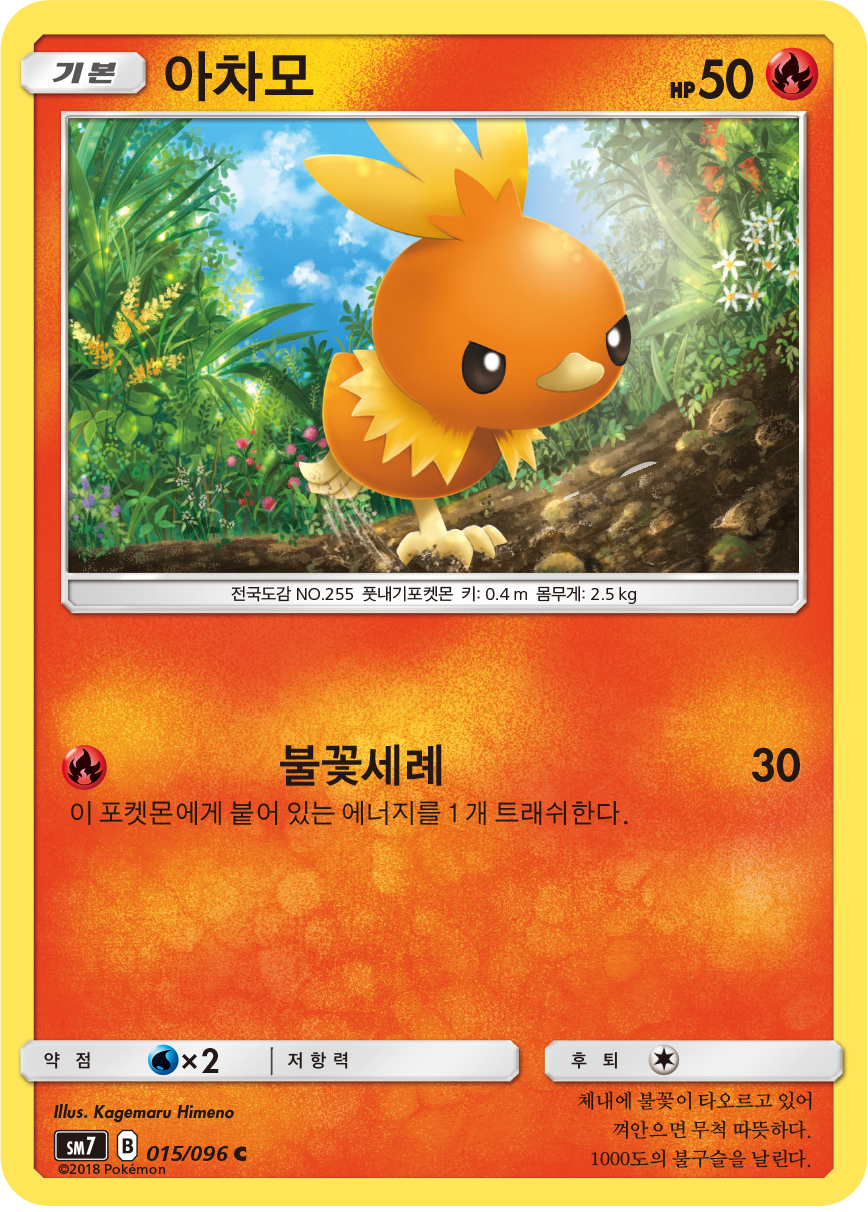Torchic