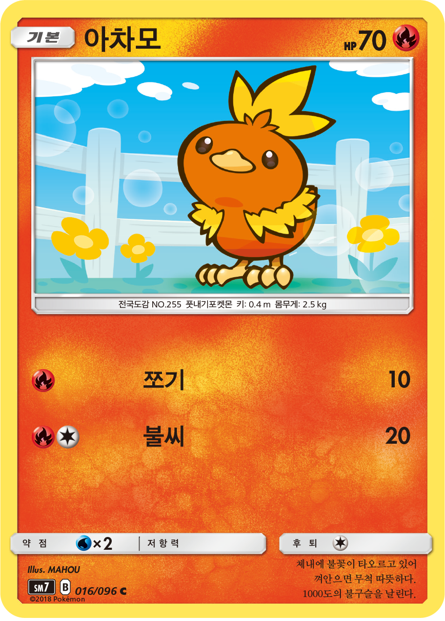 Torchic