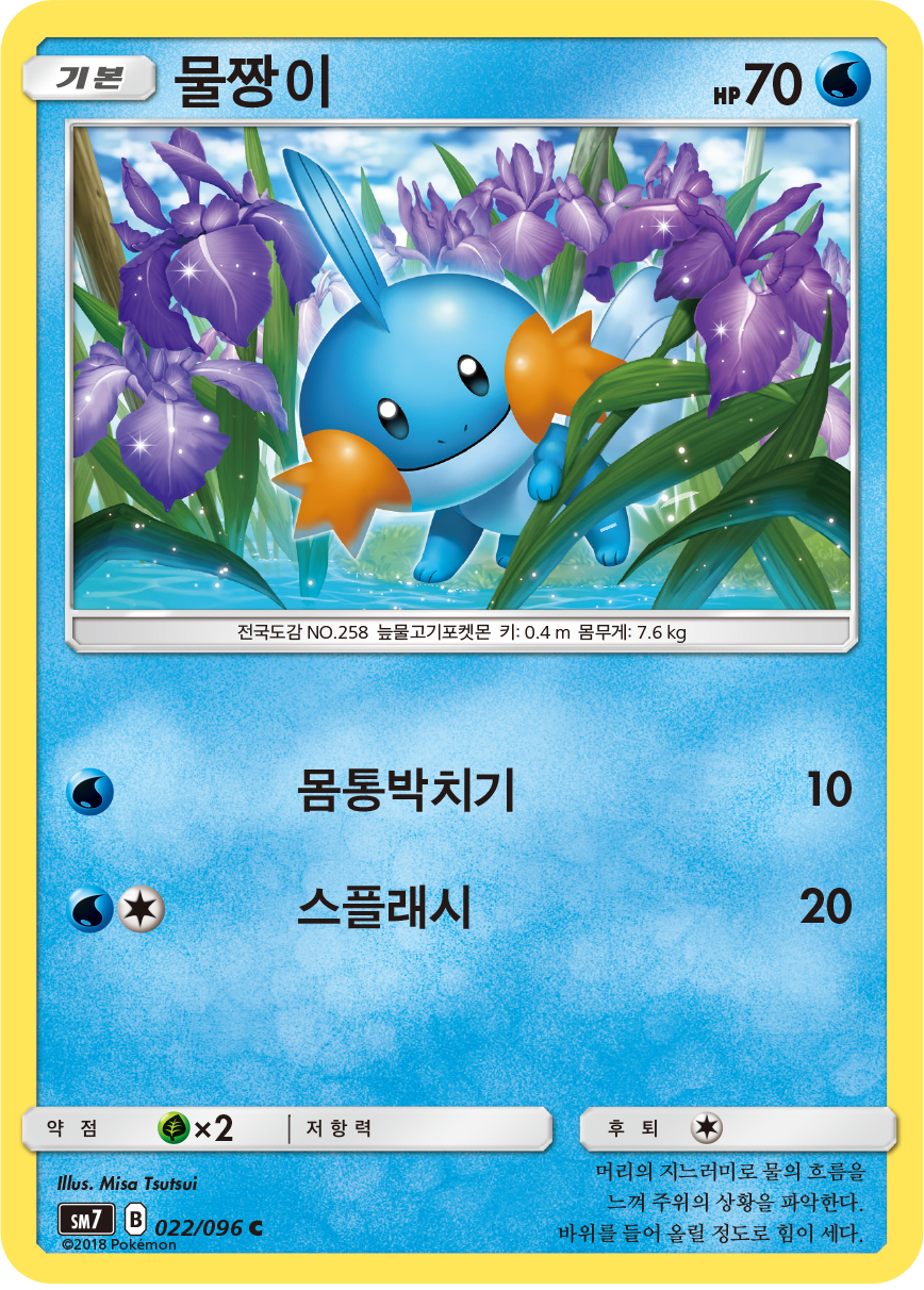 Mudkip