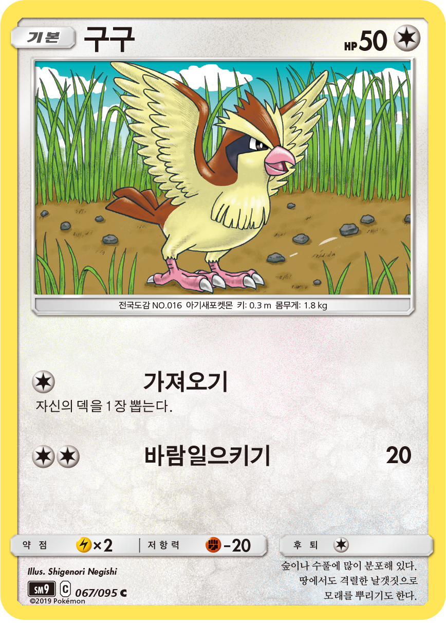 Pidgey