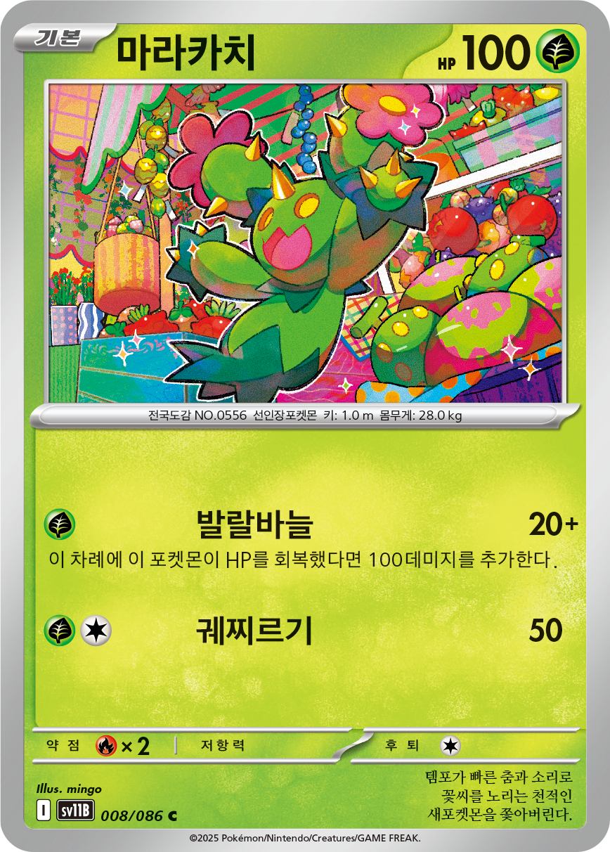 Maractus