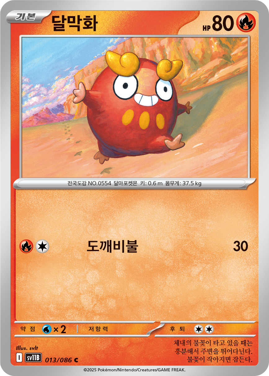Darumaka