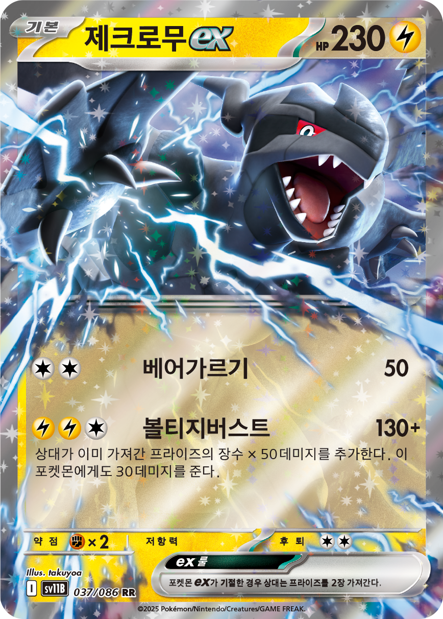Zekrom ex