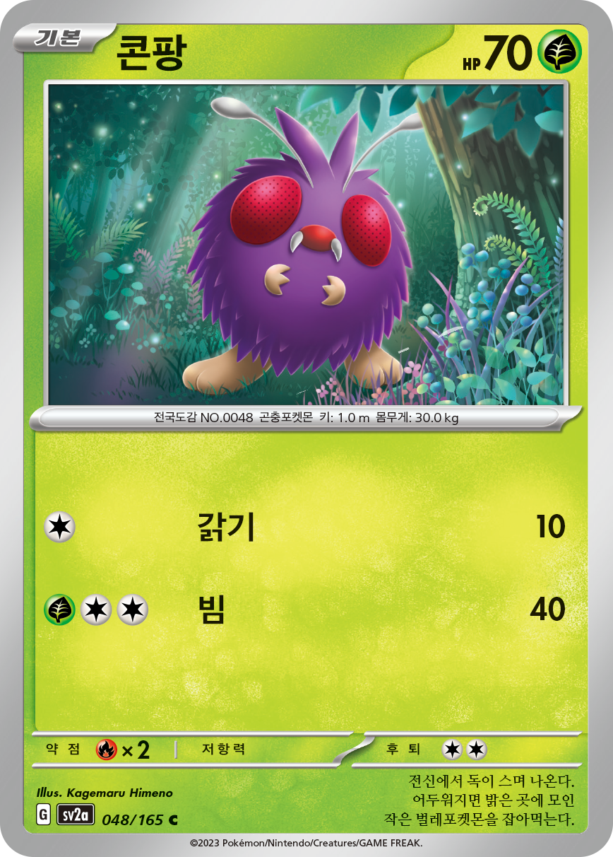 Bluzuk