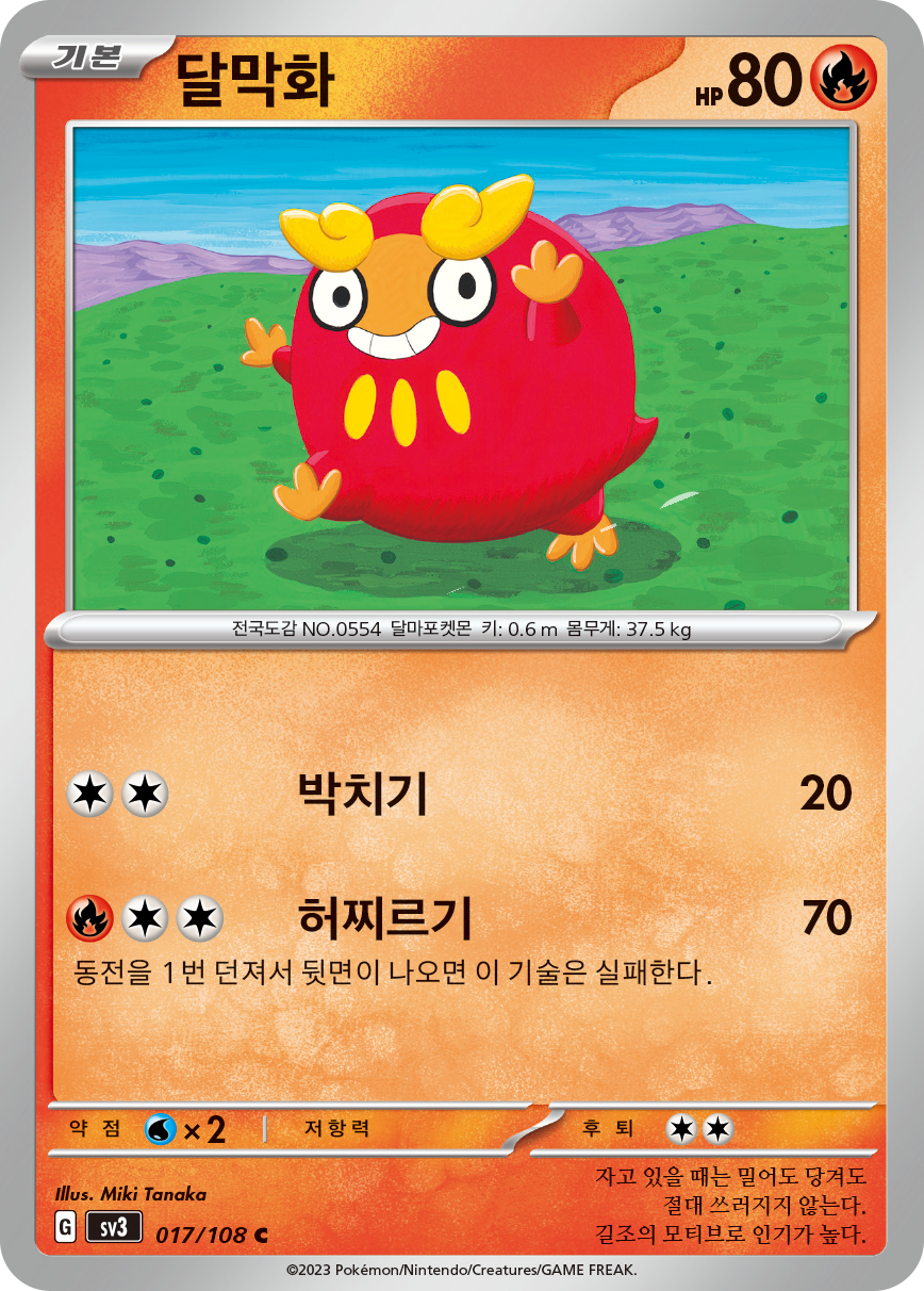 Darumaka