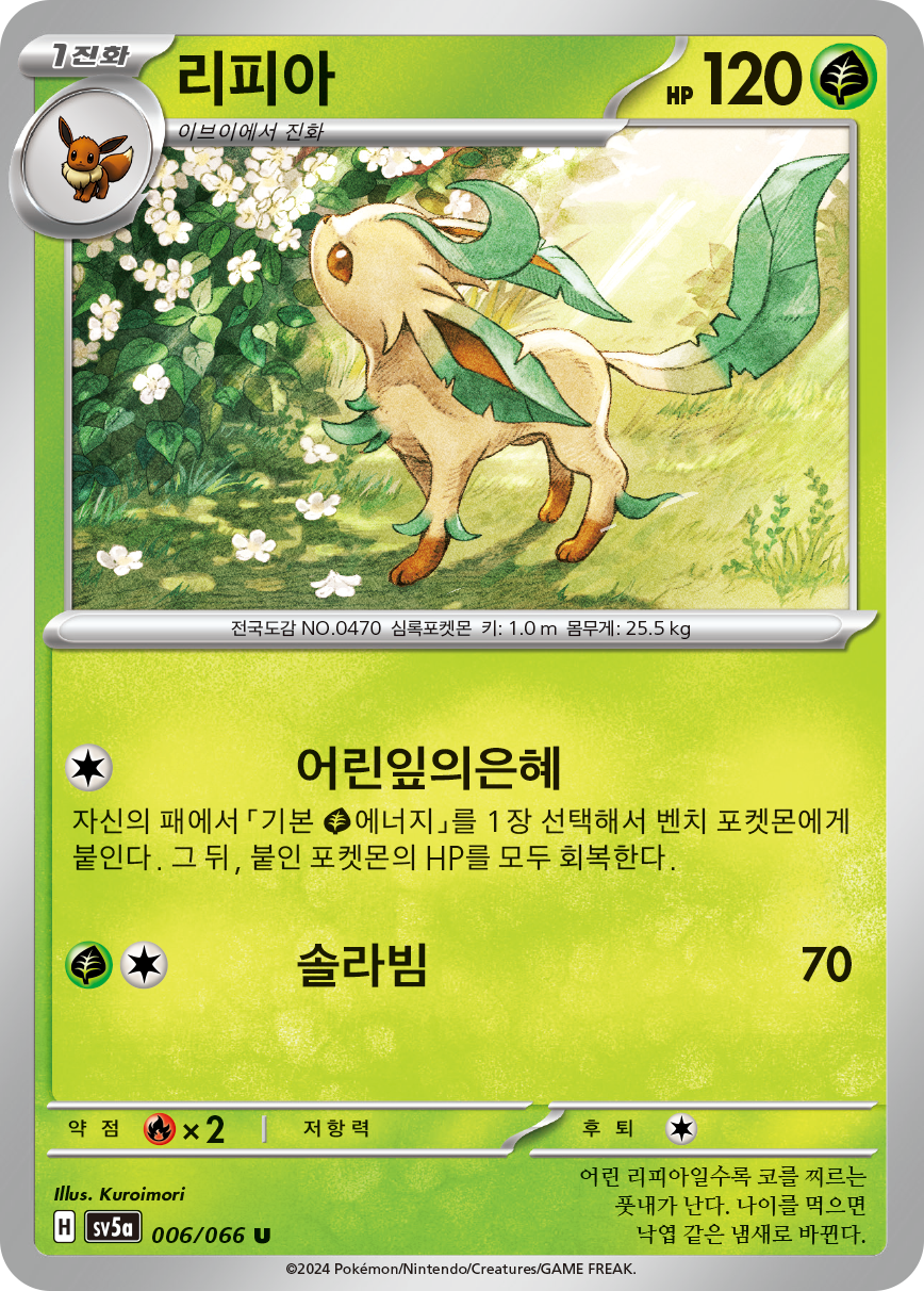Folipurba
