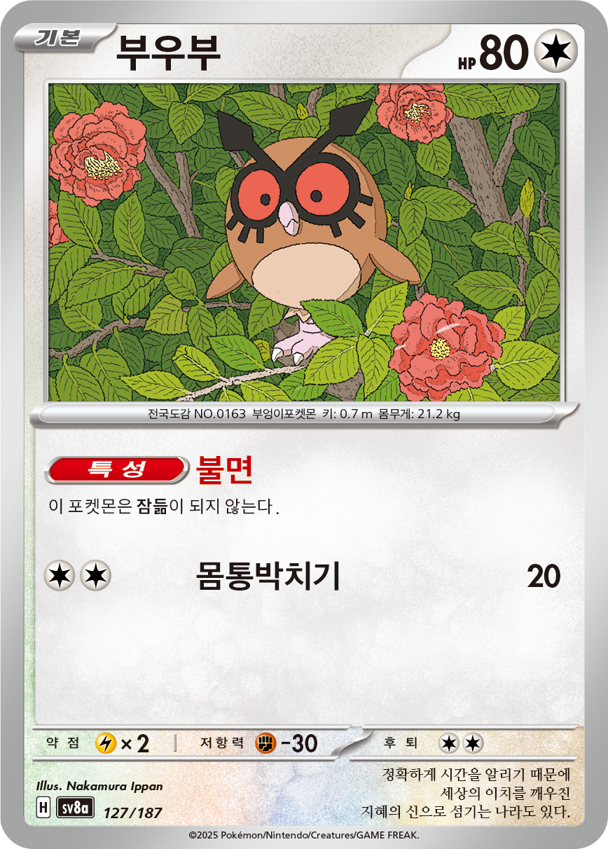 Hoothoot