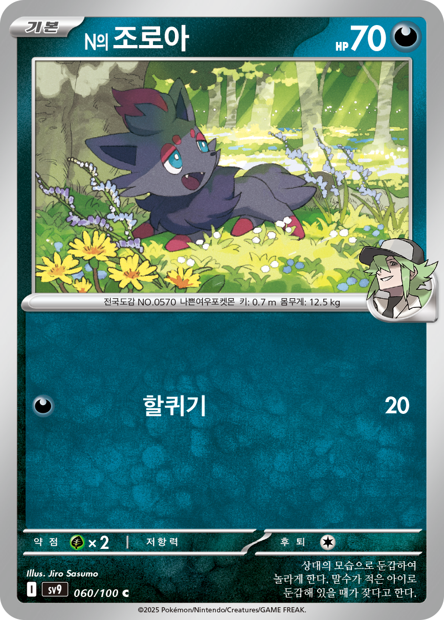 Ns Zorua