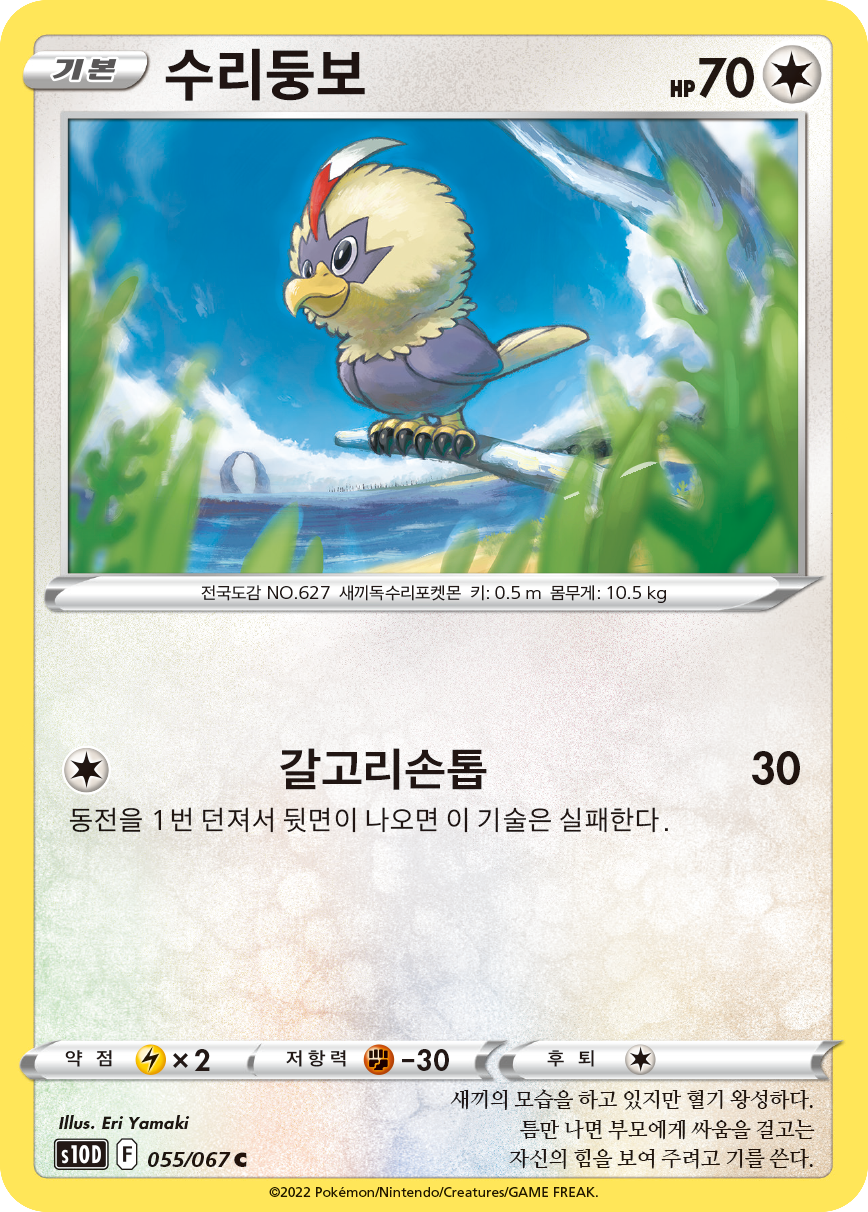 수리둥보