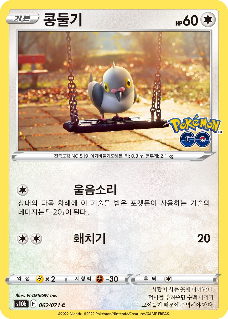 콩둘기
