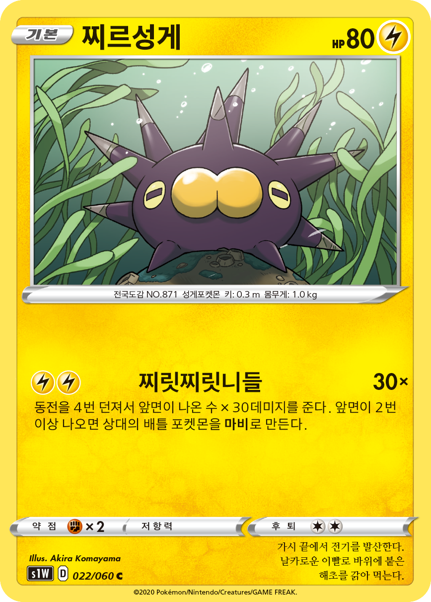 찌르성게