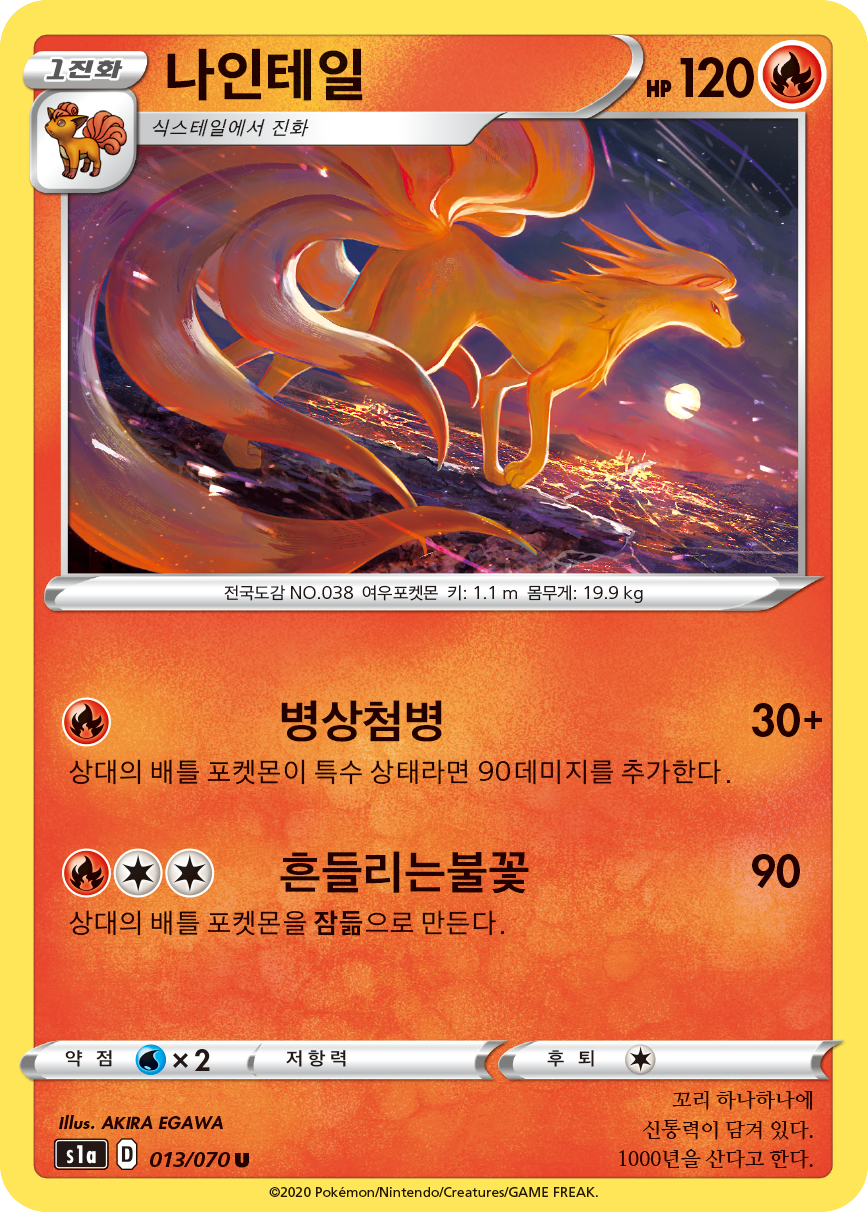 나인테일
