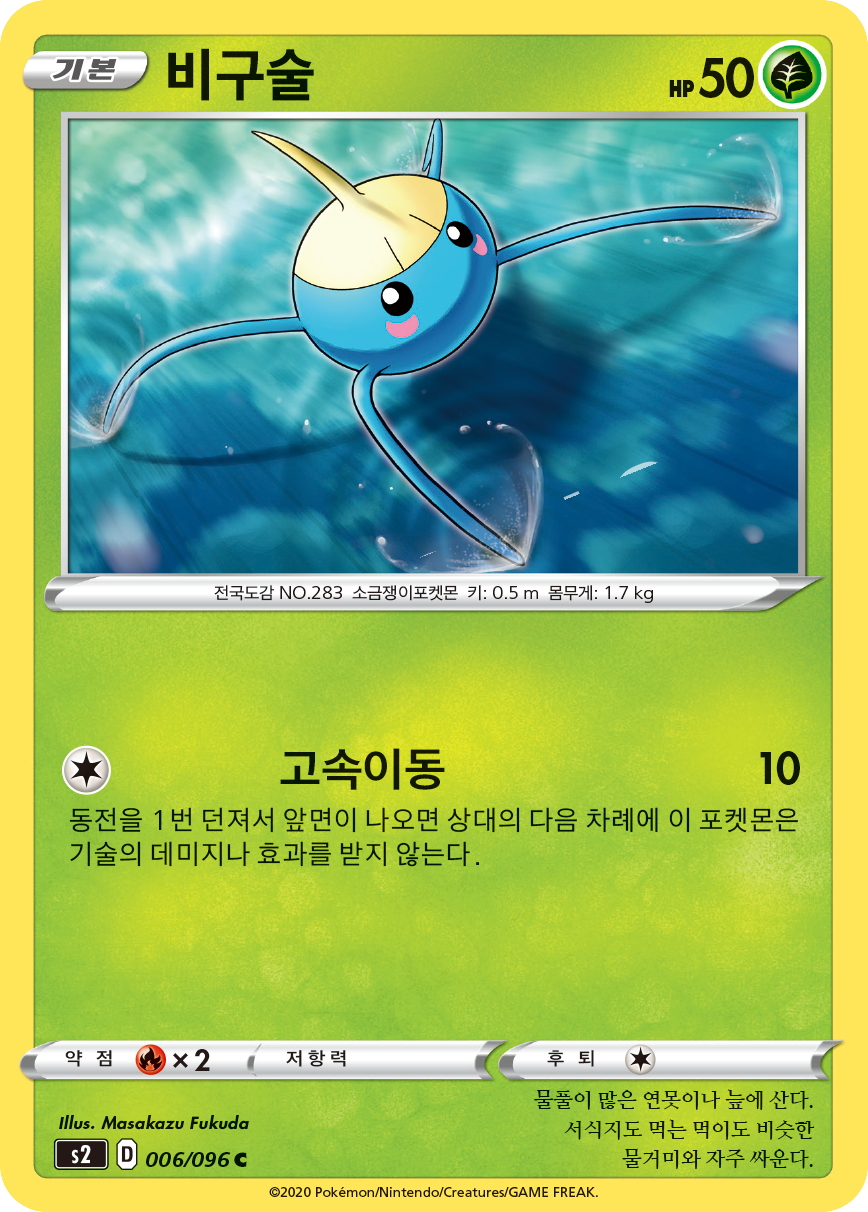 비구술
