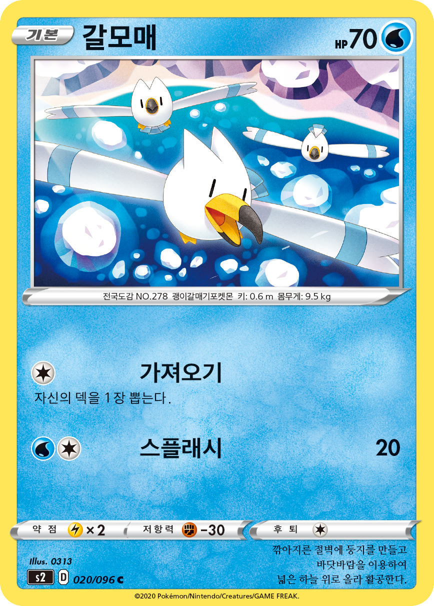 갈모매