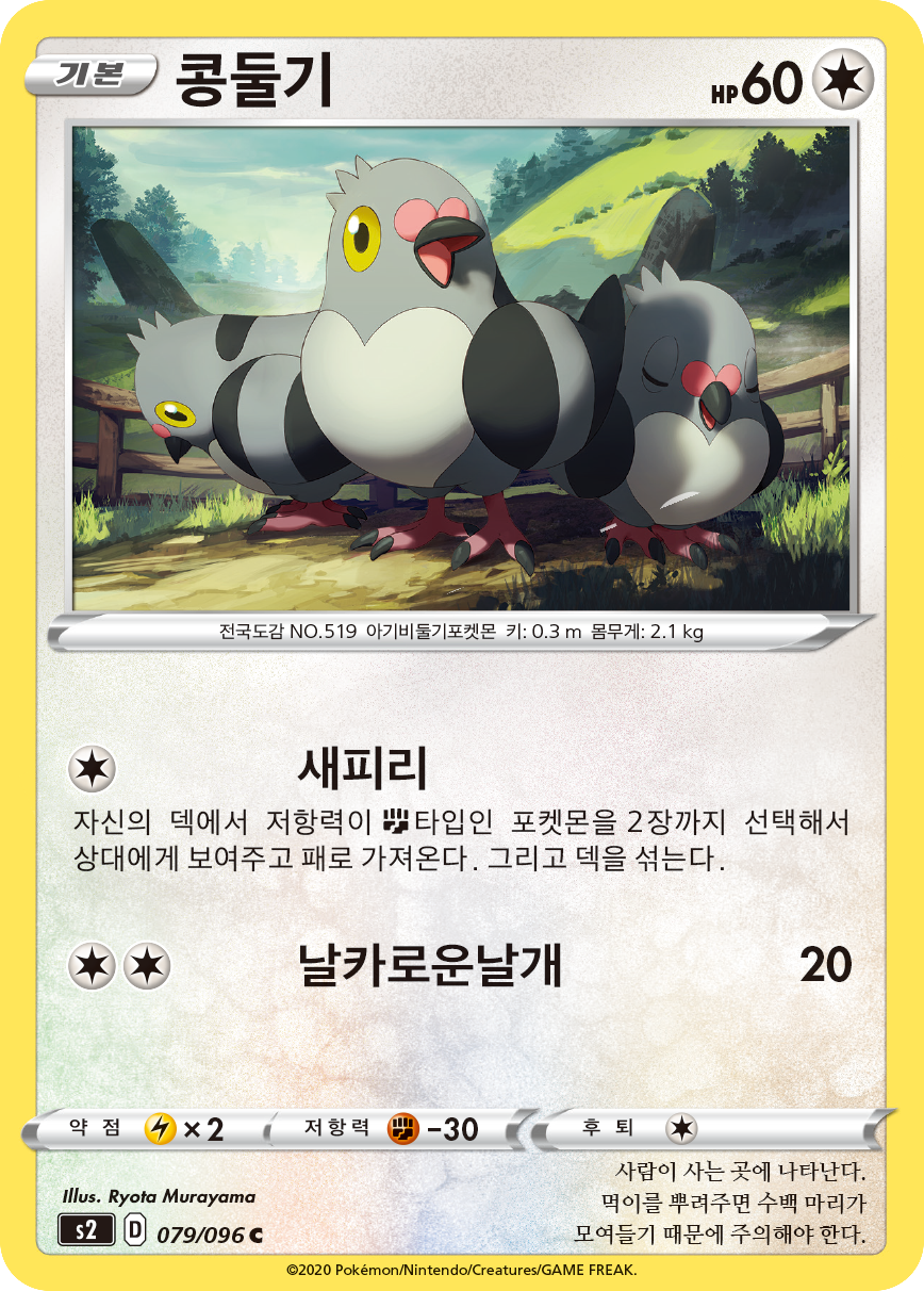 콩둘기