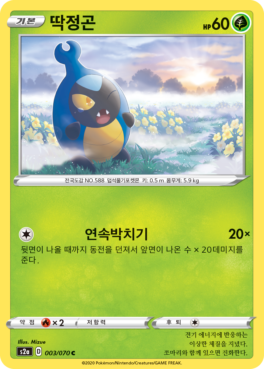 딱정곤