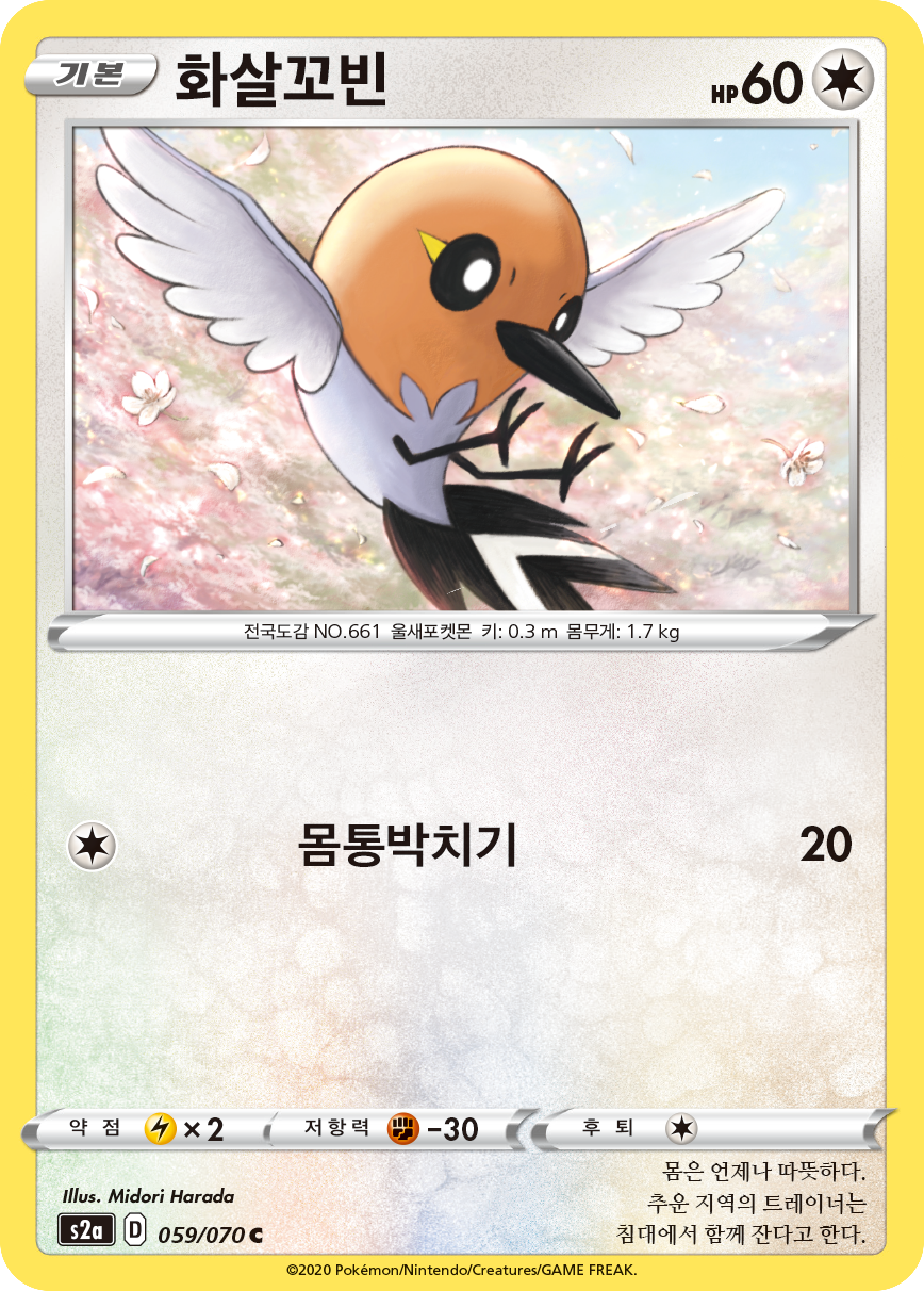 화살꼬빈