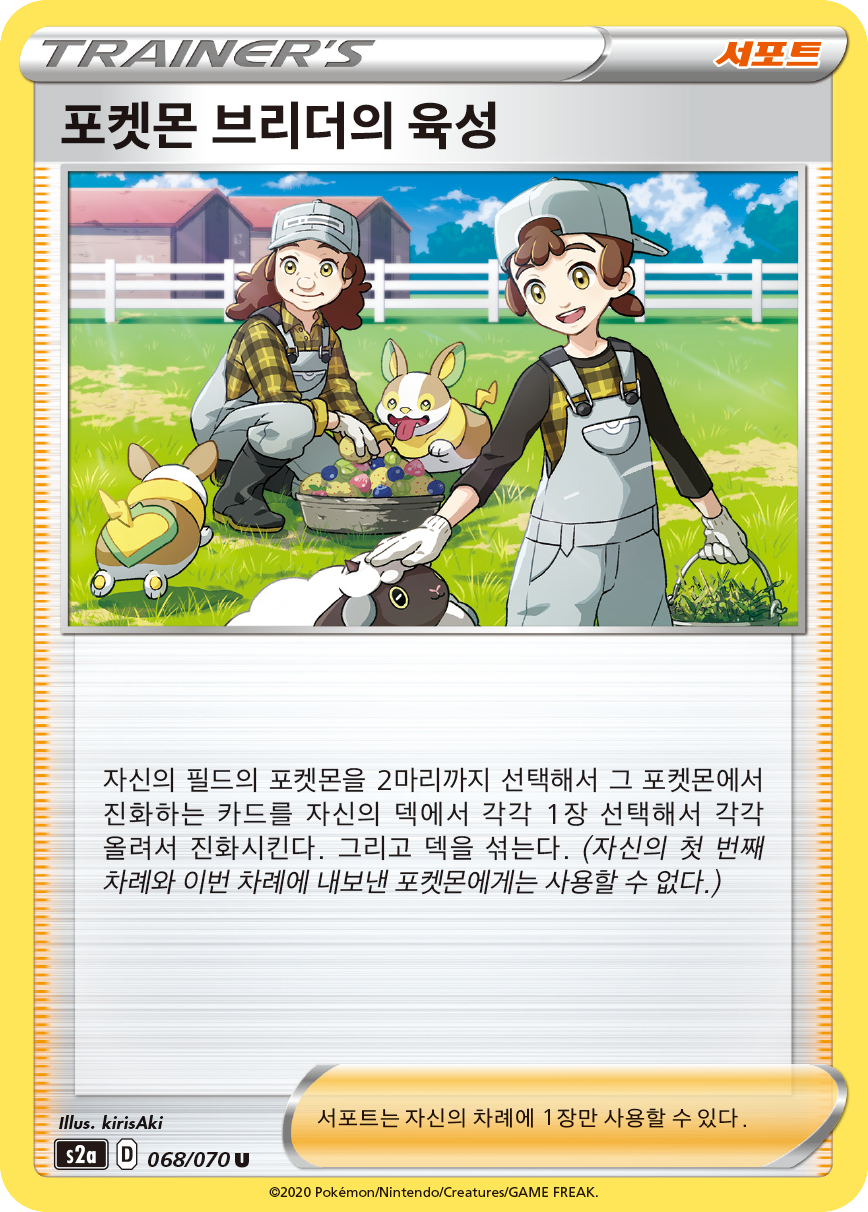 포켓몬 브리더의 육성