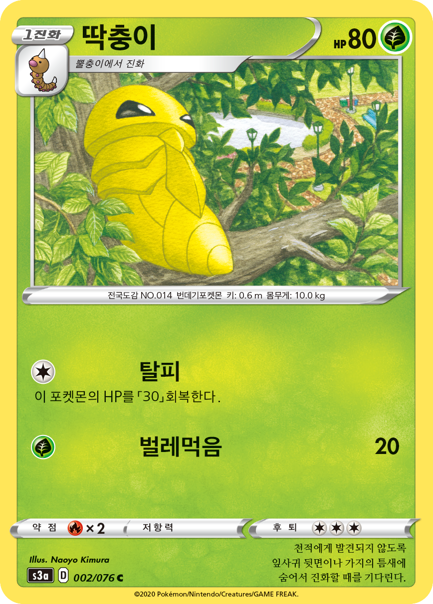 딱충이