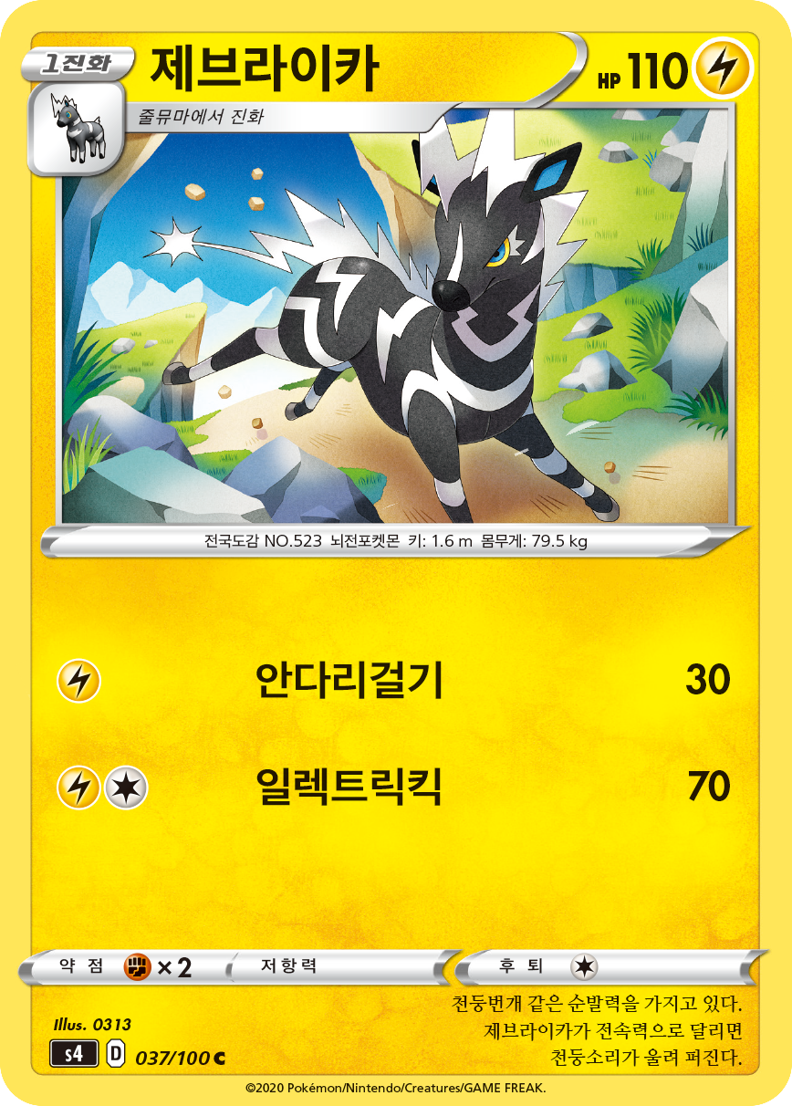 제브라이카