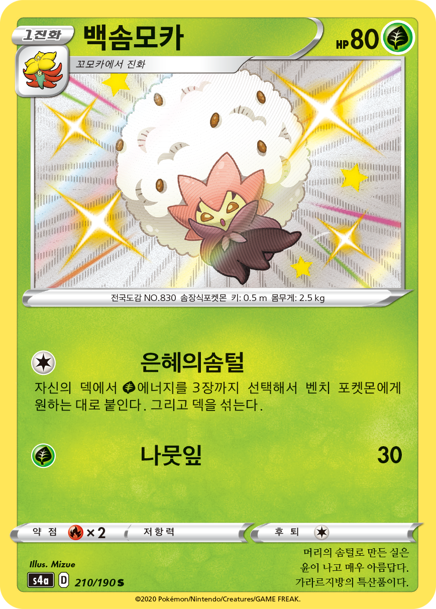 백솜모카