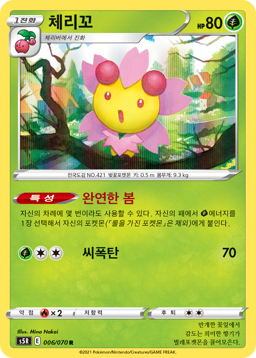 체리꼬