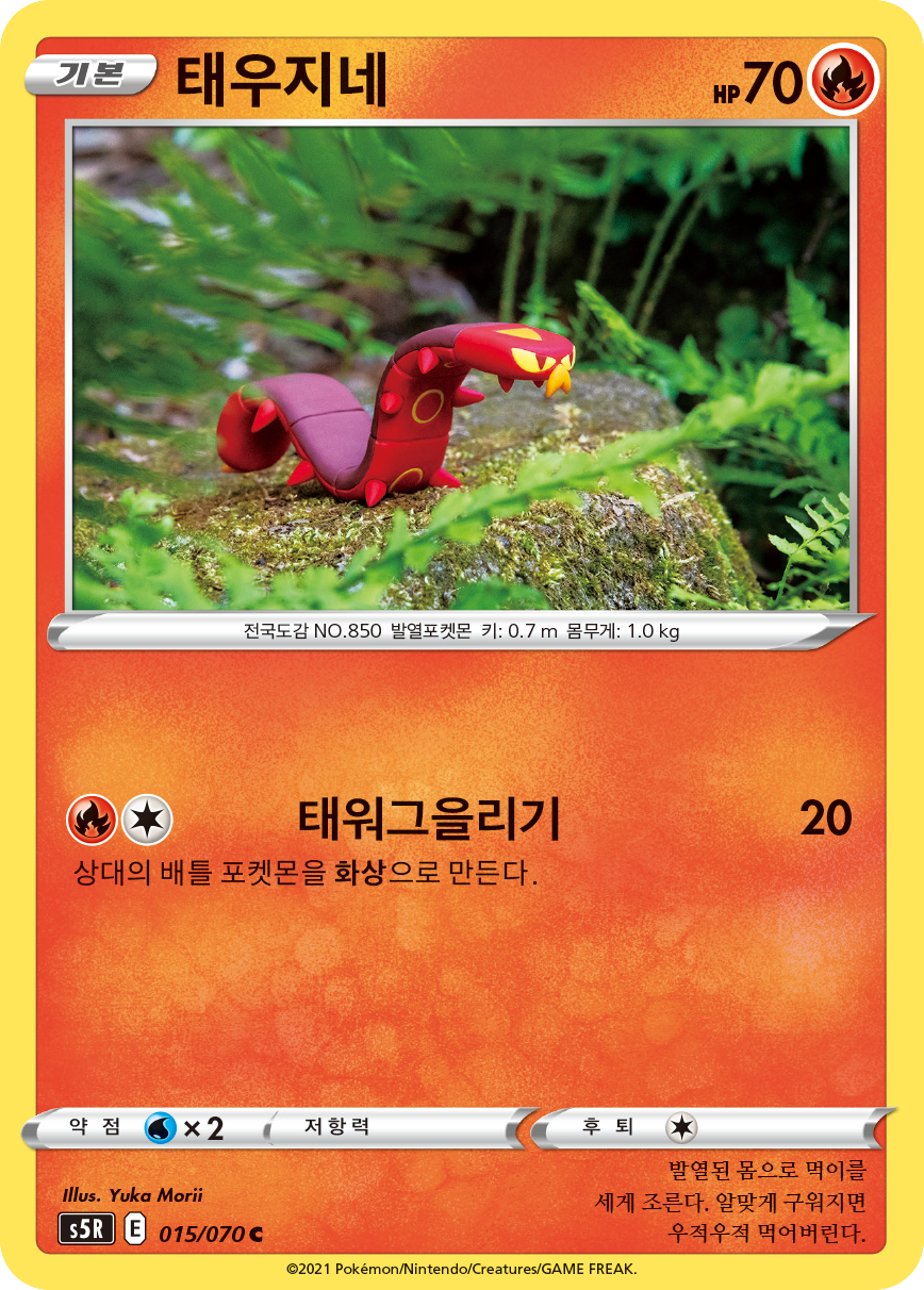 태우지네