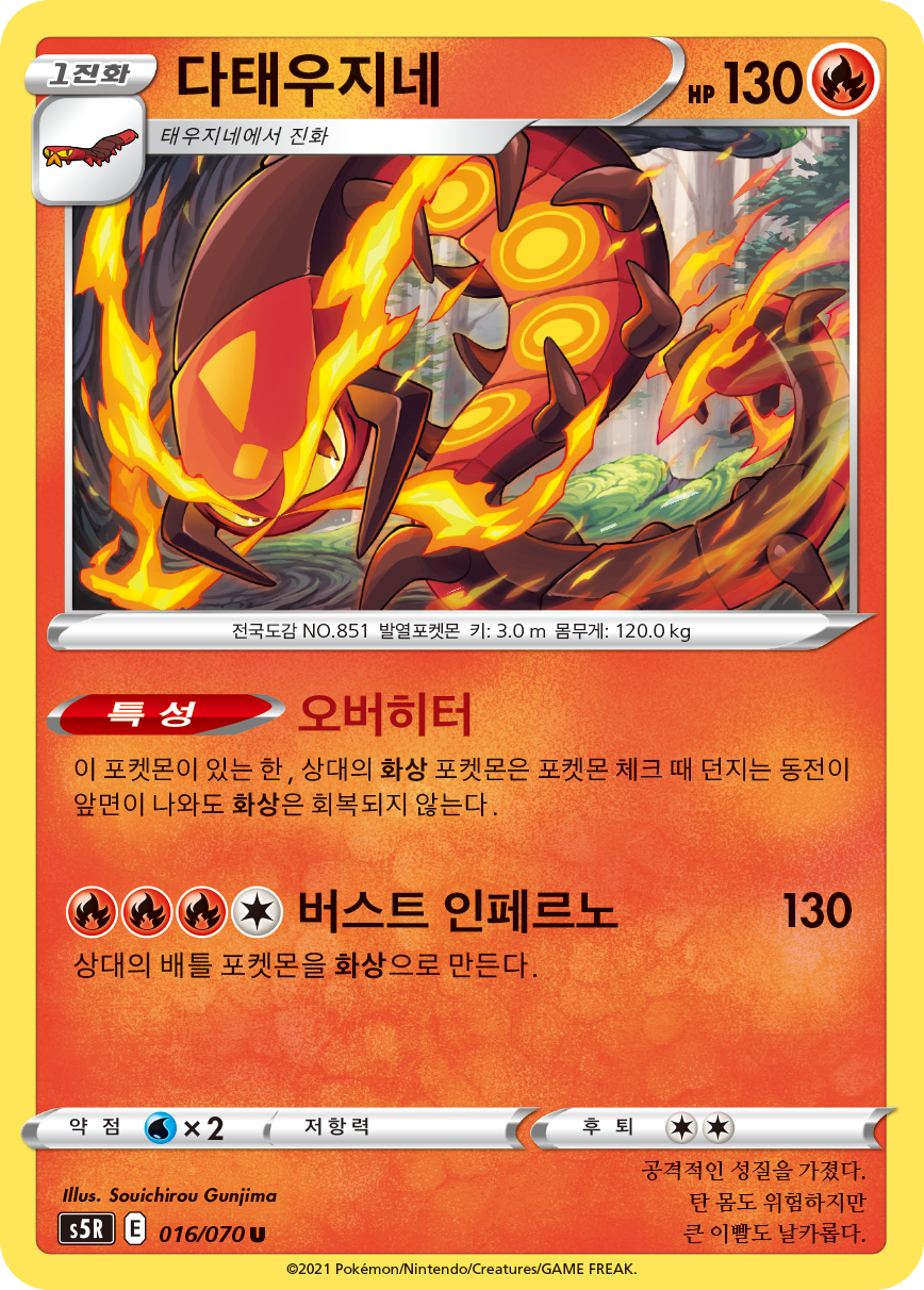 다태우지네