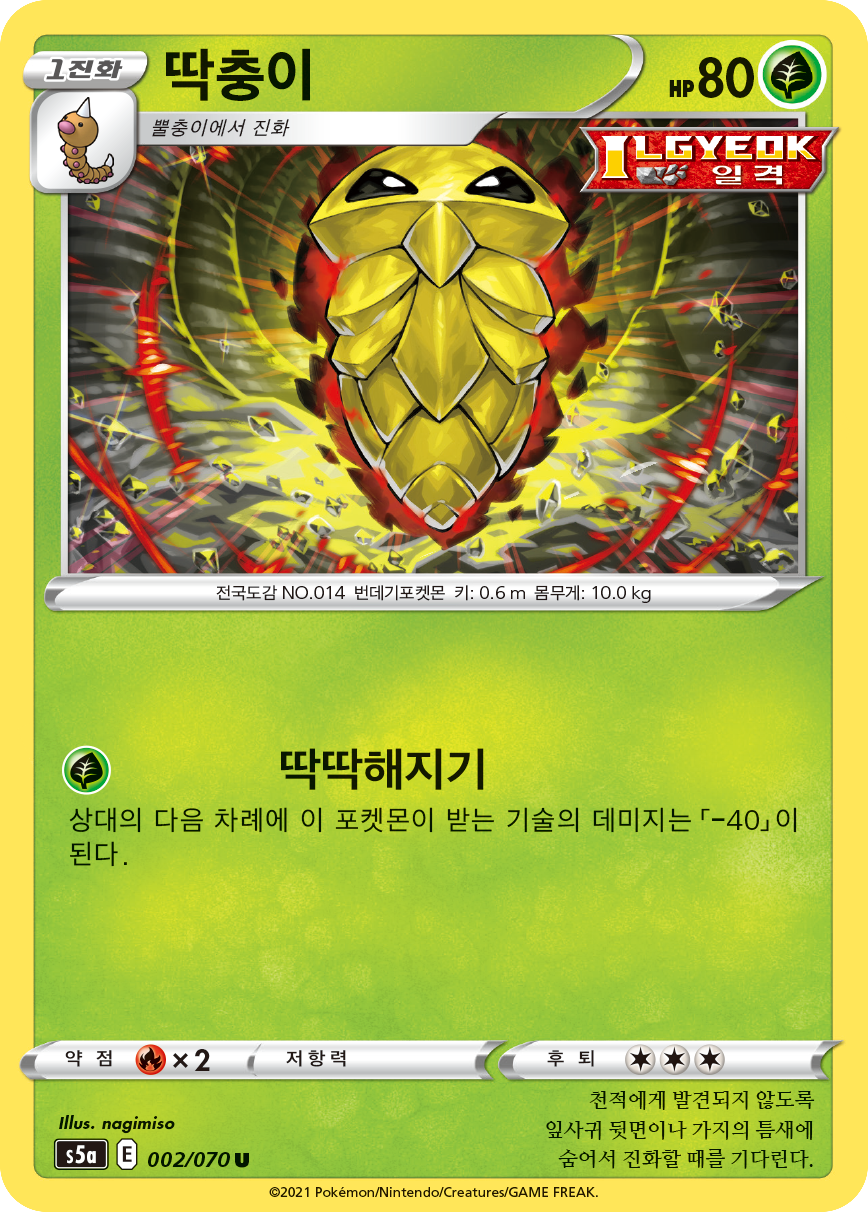딱충이