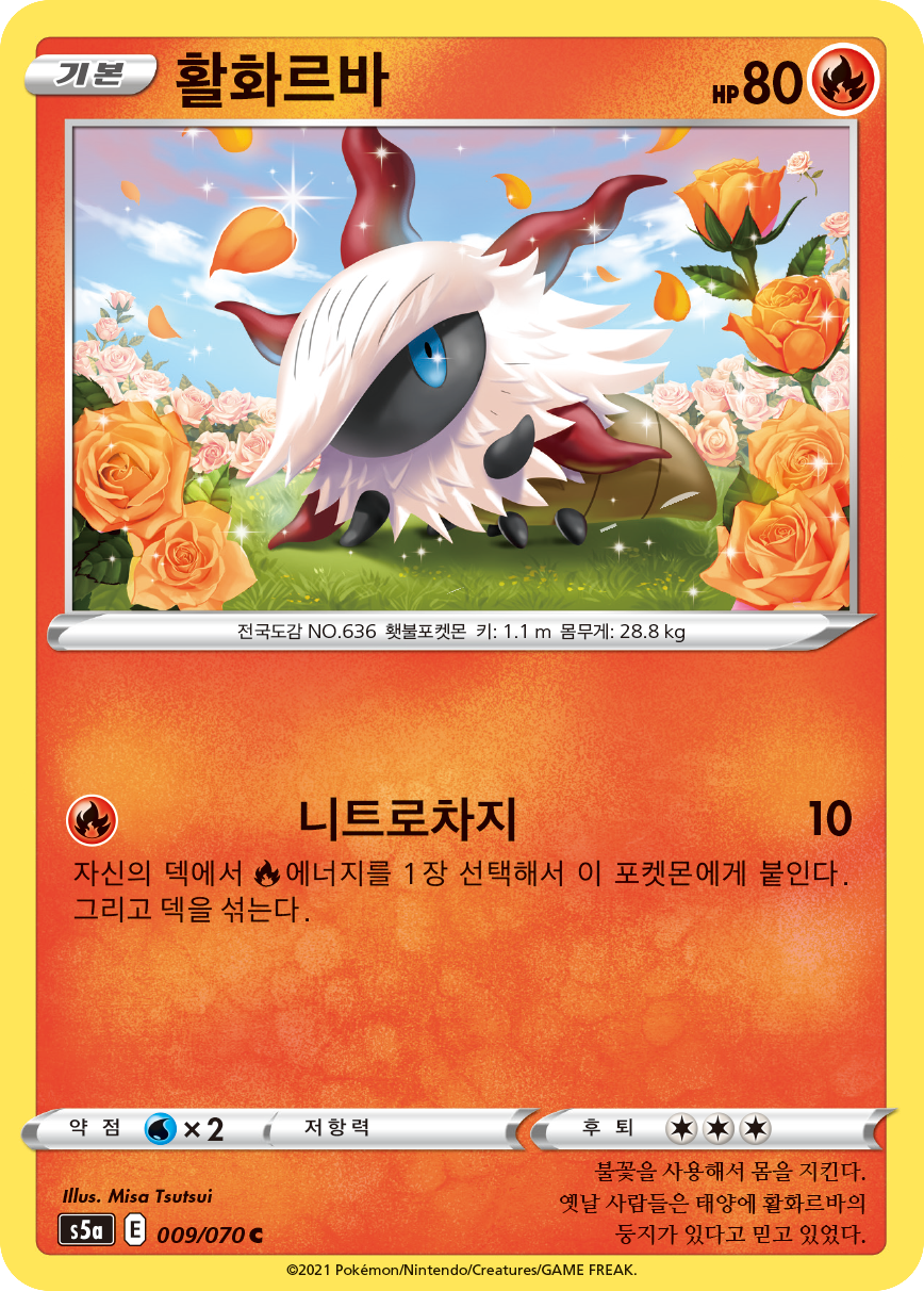 활화르바