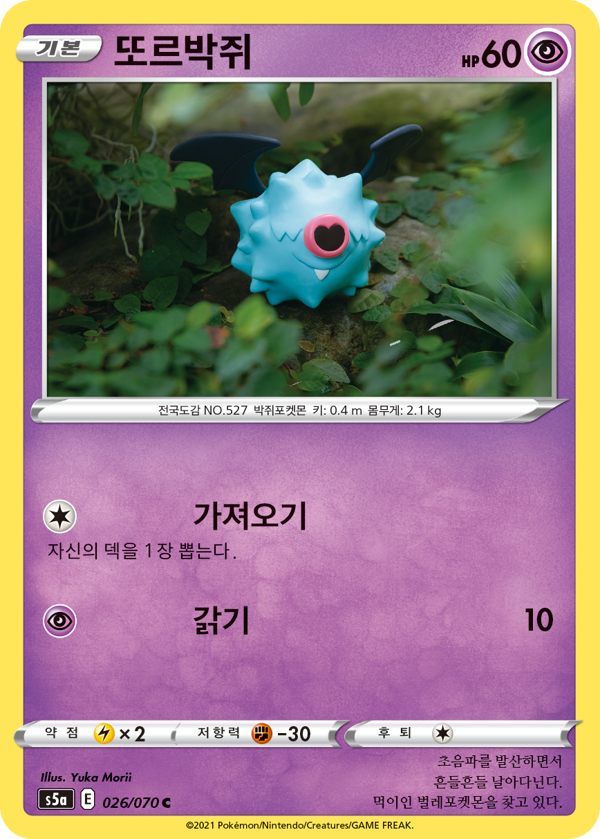 또르박쥐