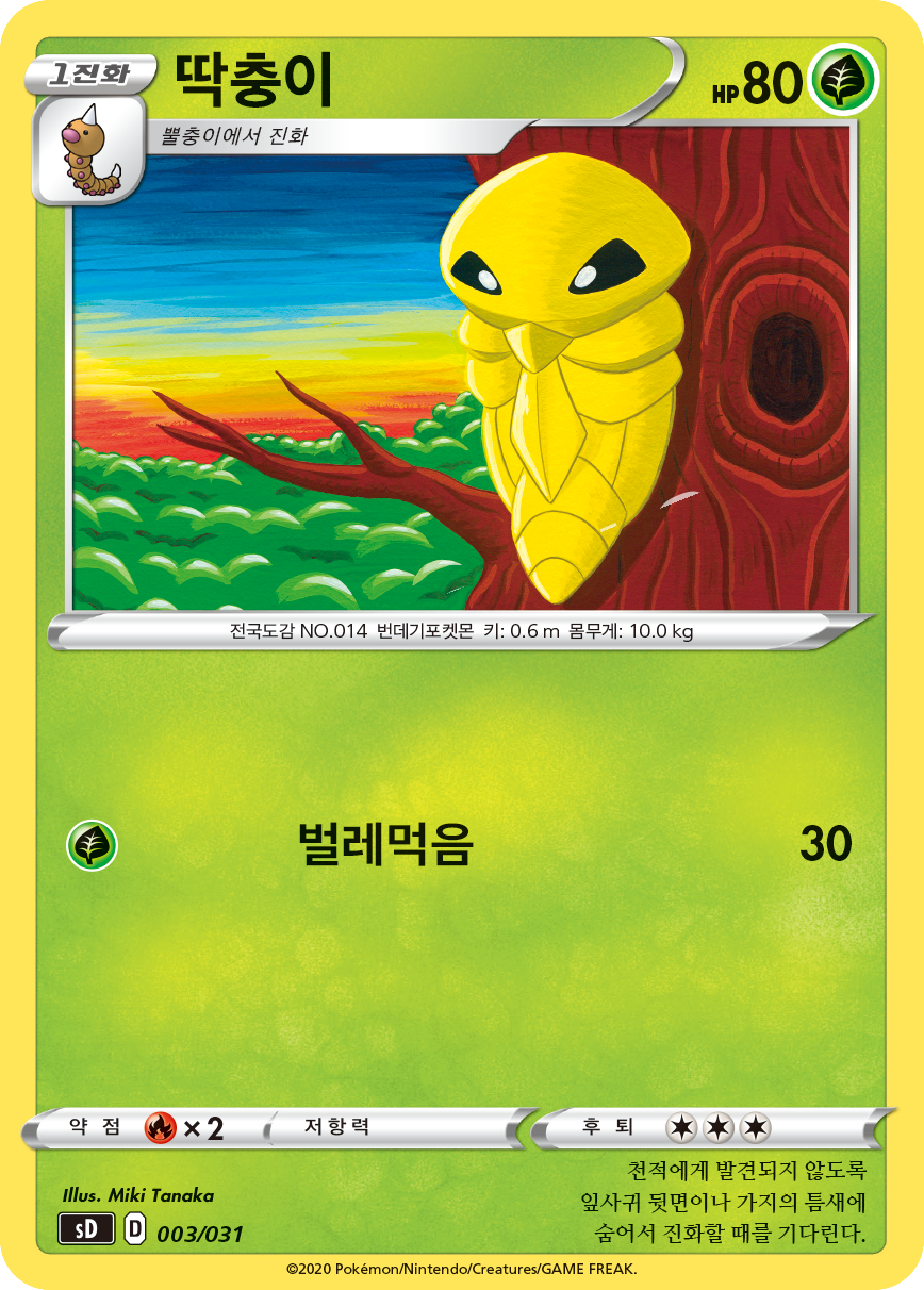 딱충이
