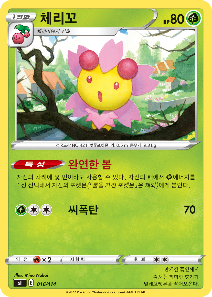 체리꼬