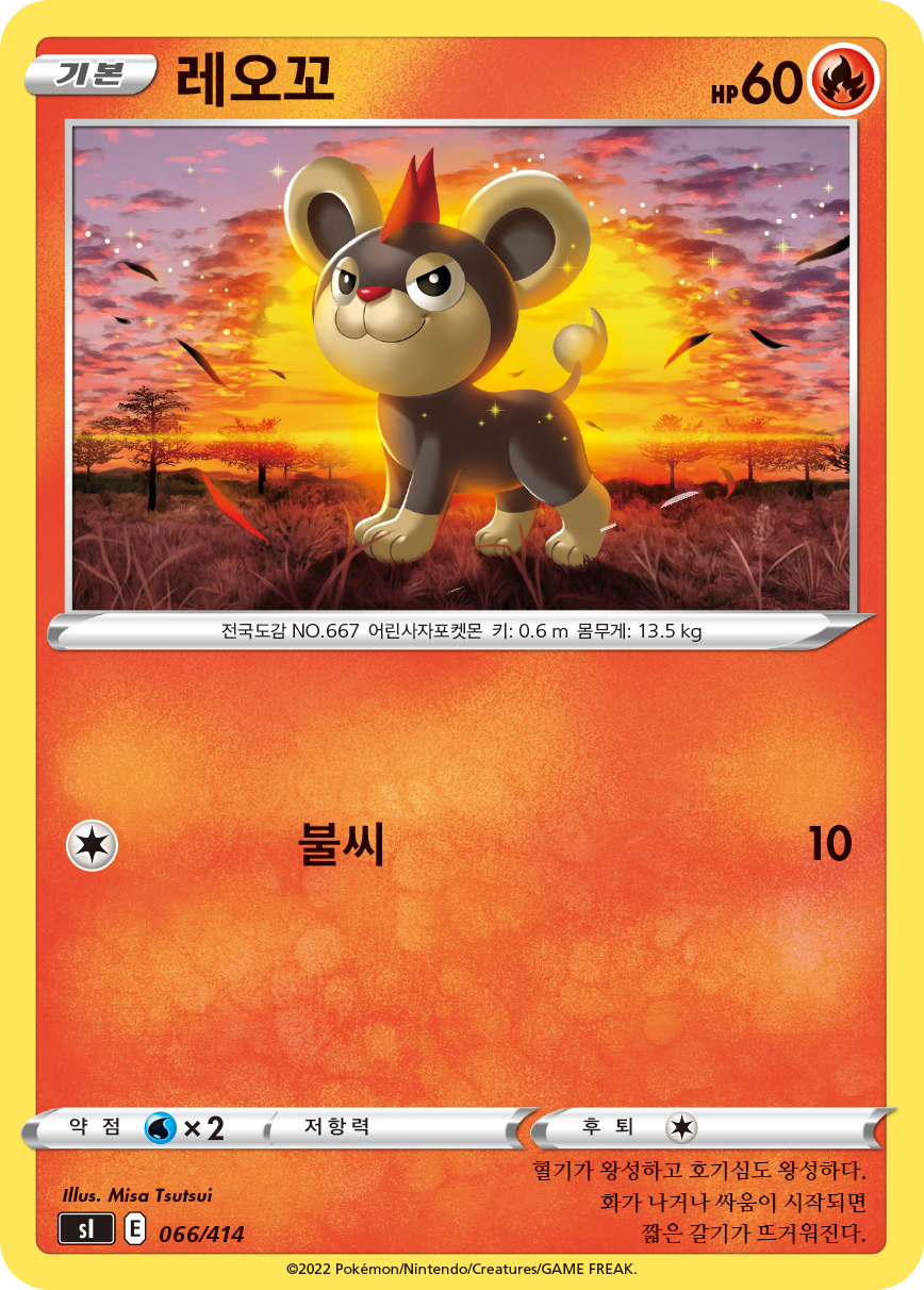 레오꼬