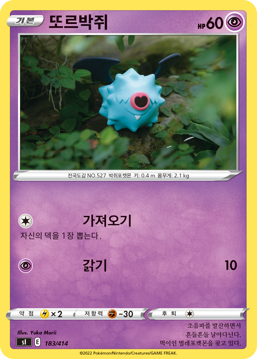 또르박쥐