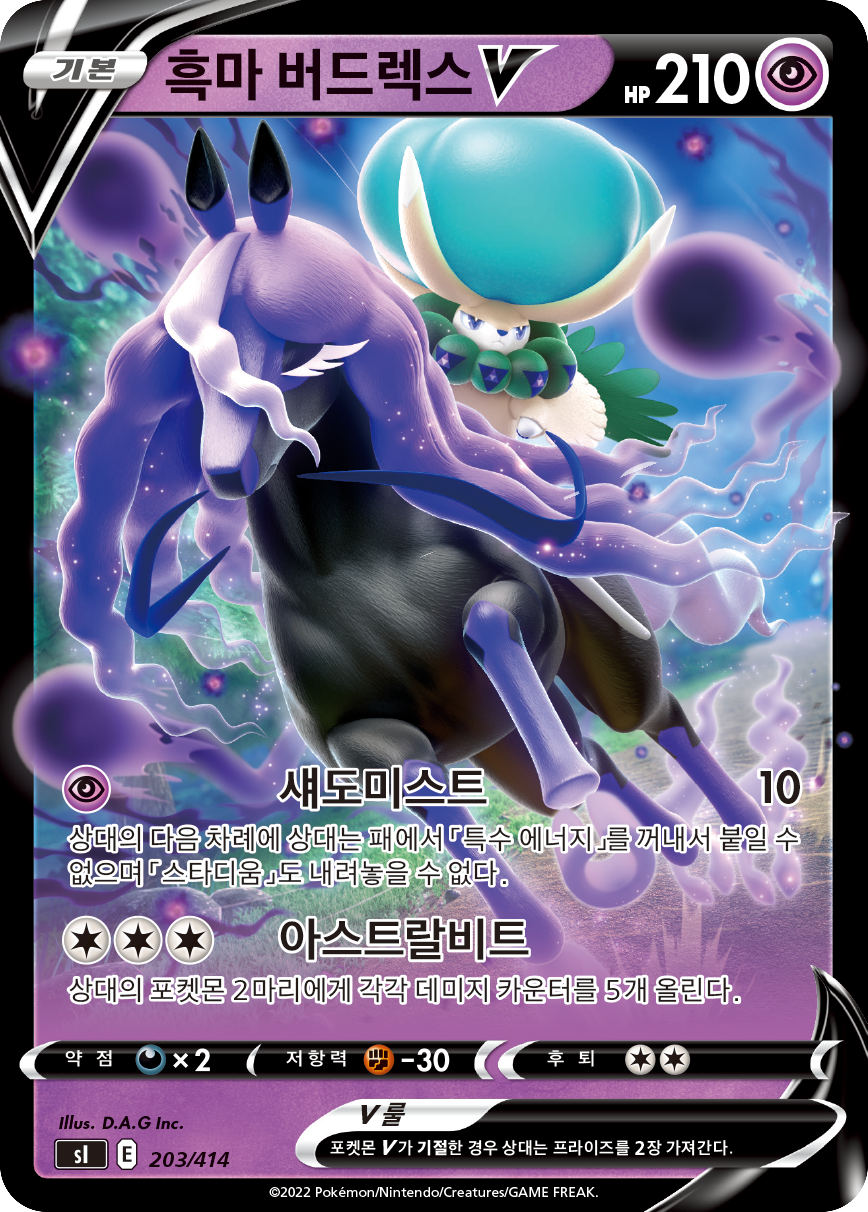 흑마 버드렉스 V