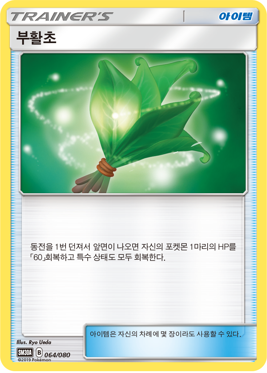 부활초