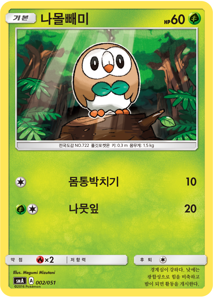 나몰빼미