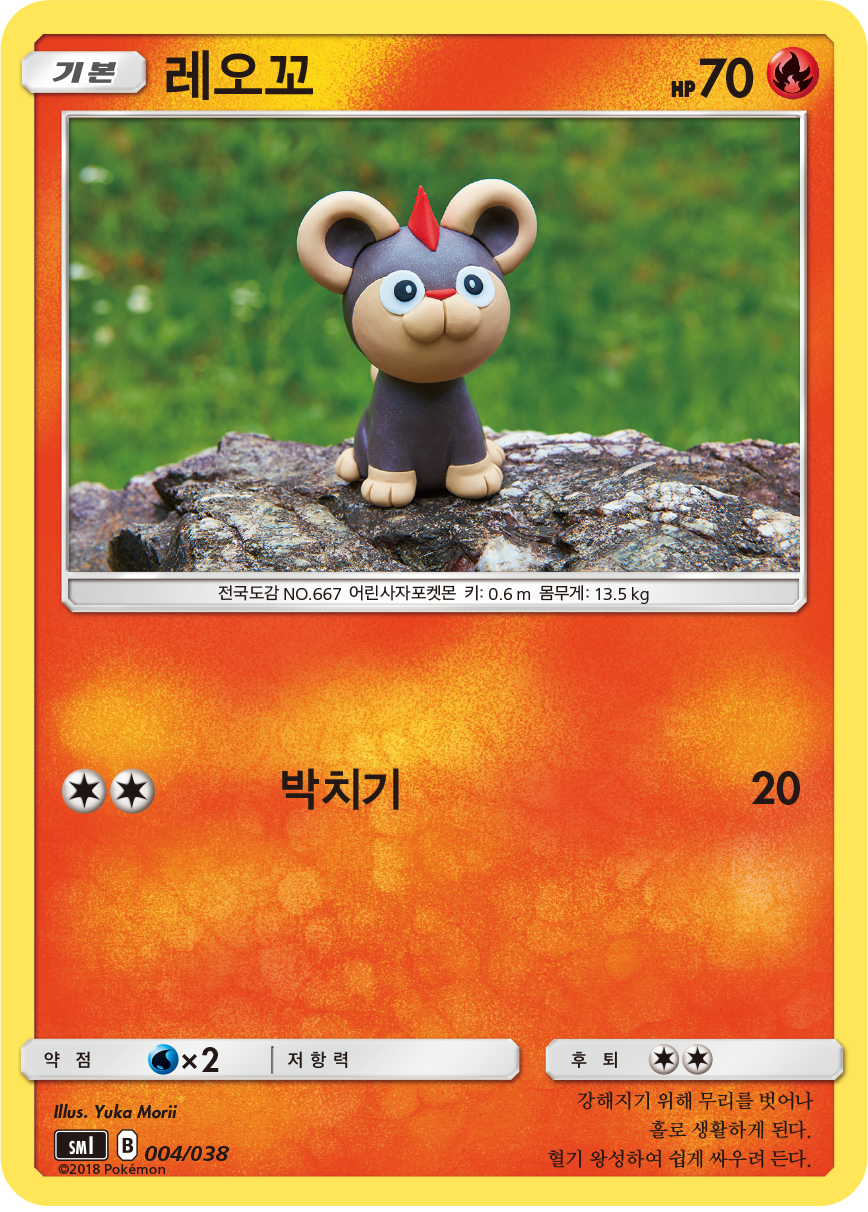 레오꼬