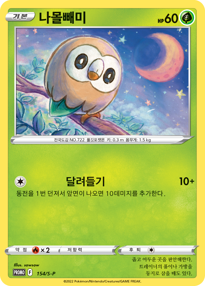 나몰빼미