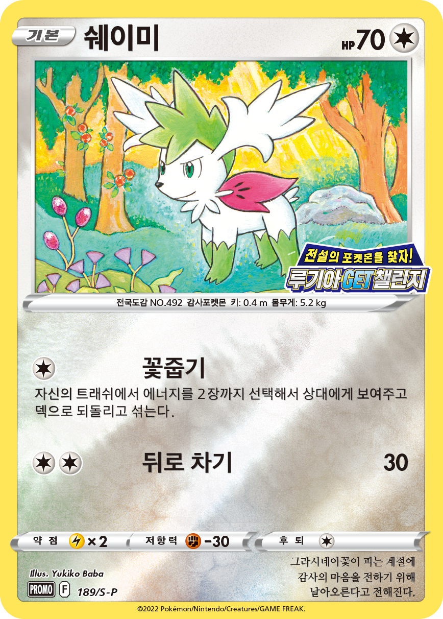 쉐이미